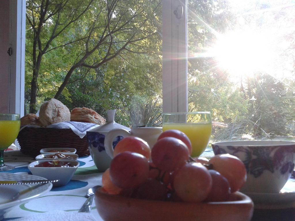 Casco El Trapiche Bed & Breakfast Годой Крус Стая снимка